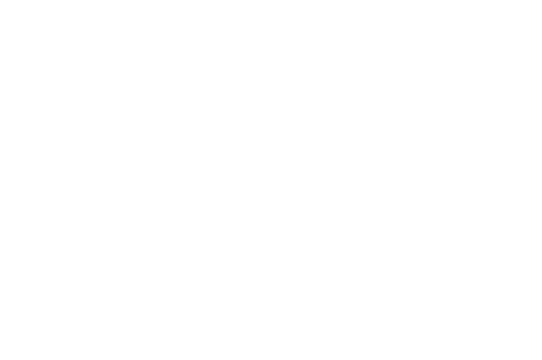 LA Lift-Off Film Festival laurel